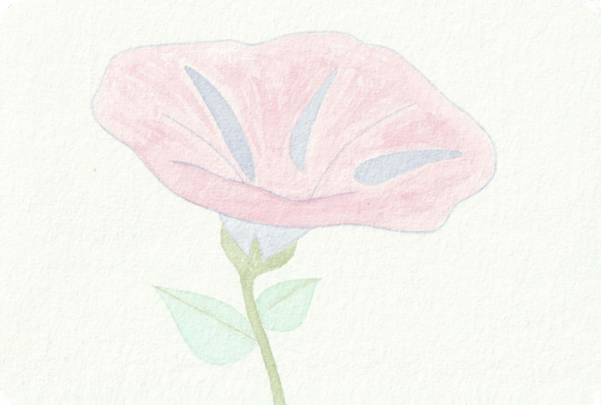 - | christophe-henry