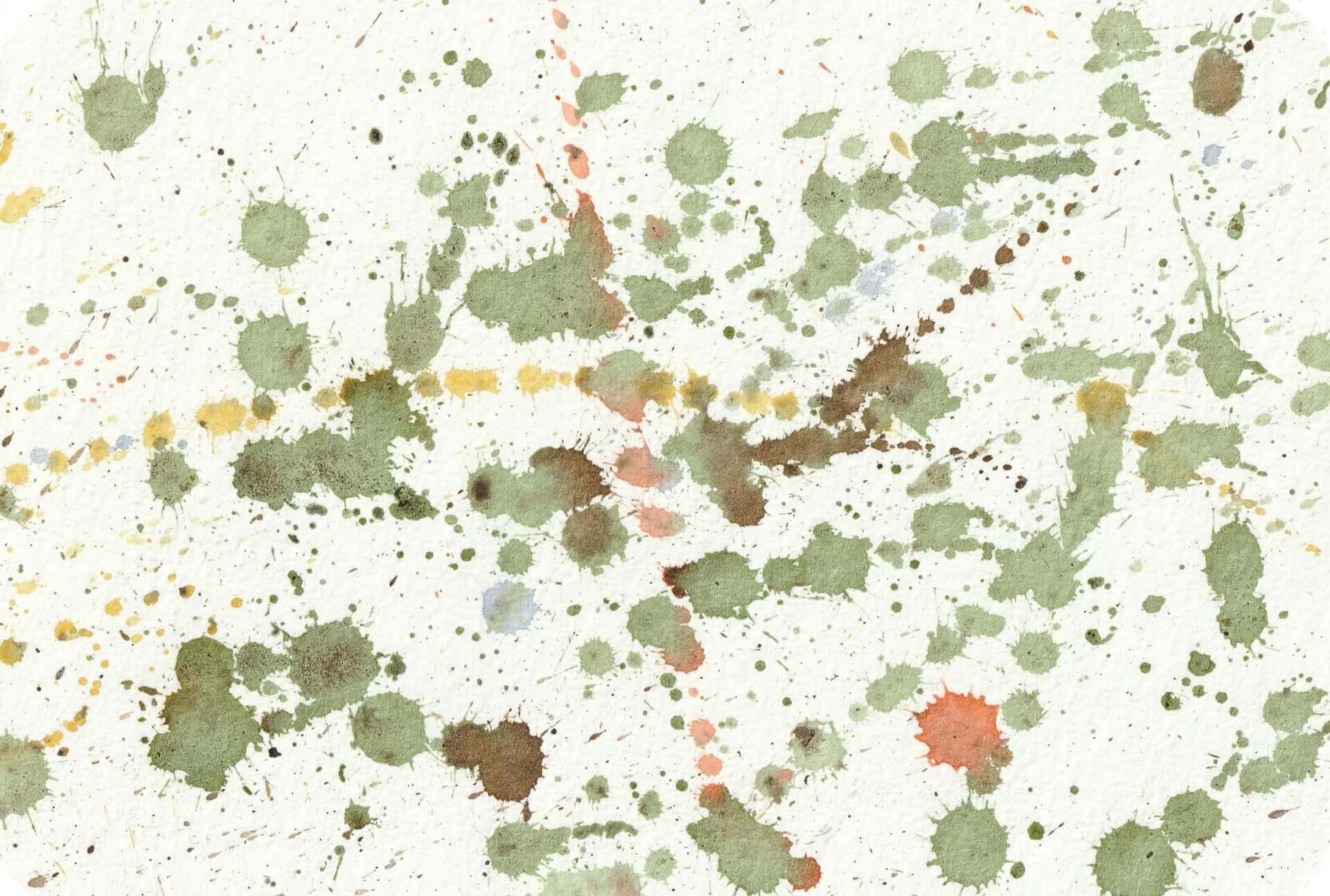 - | christophe-henry