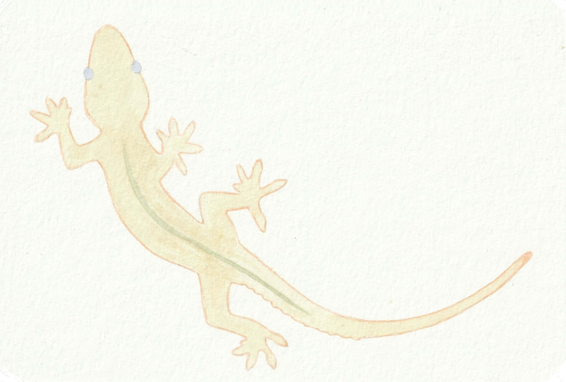 - | christophe-henry