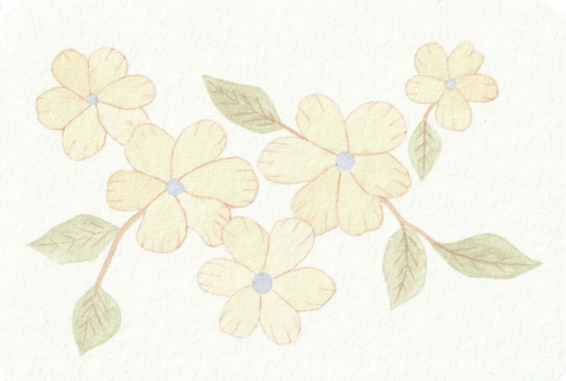 - | christophe-henry