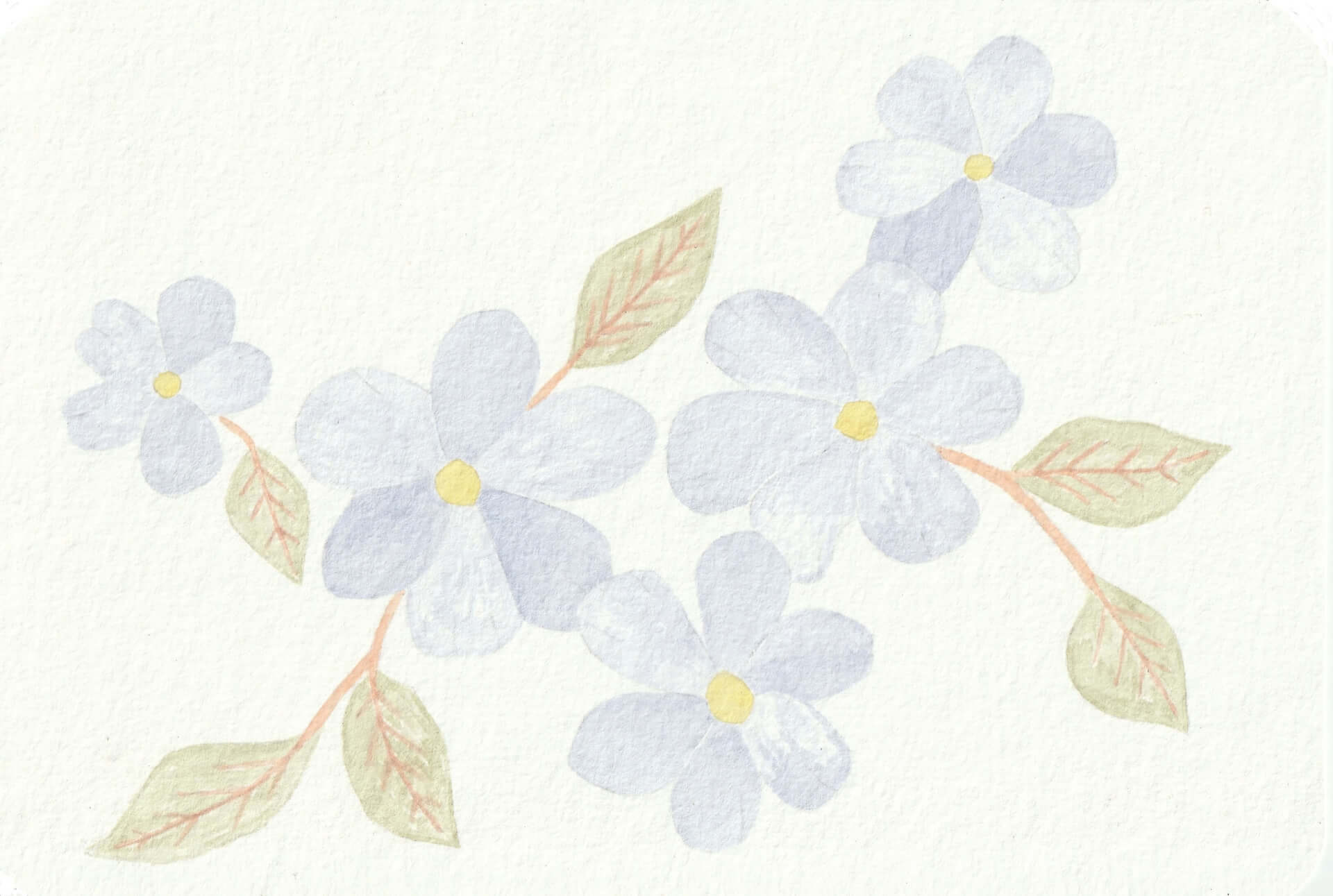 - | christophe-henry