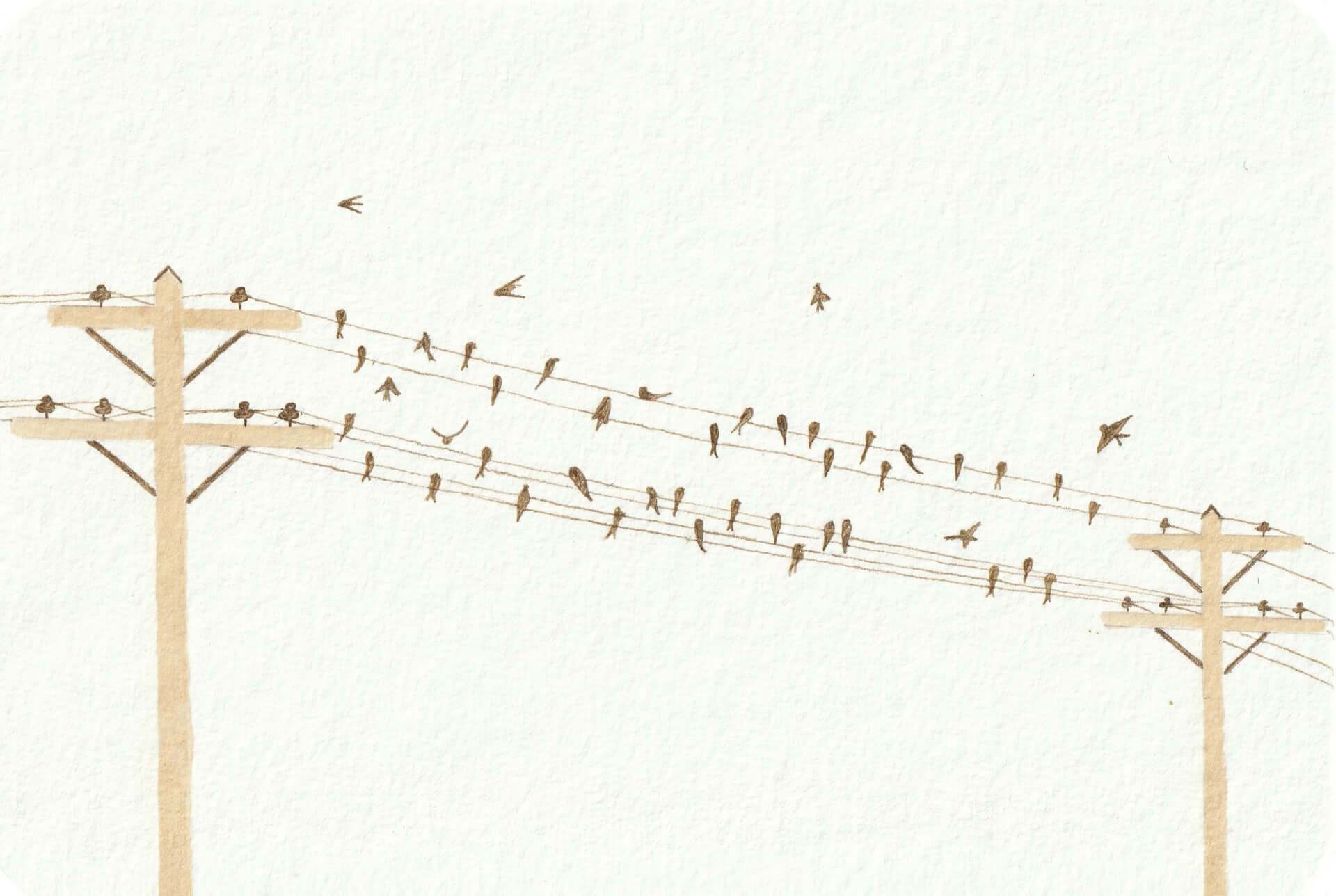 - | christophe-henry