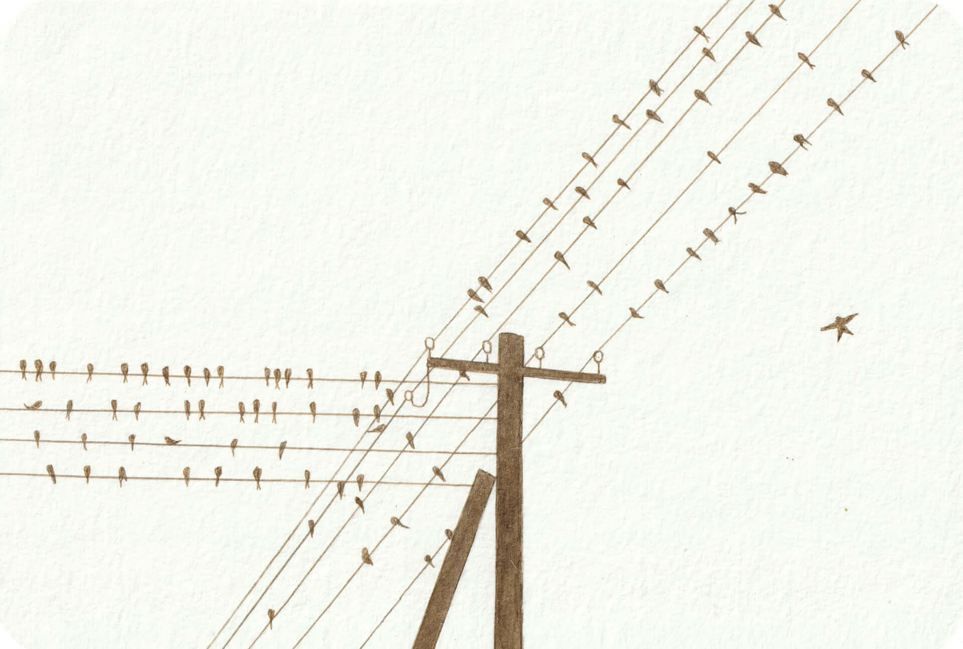 - | christophe-henry