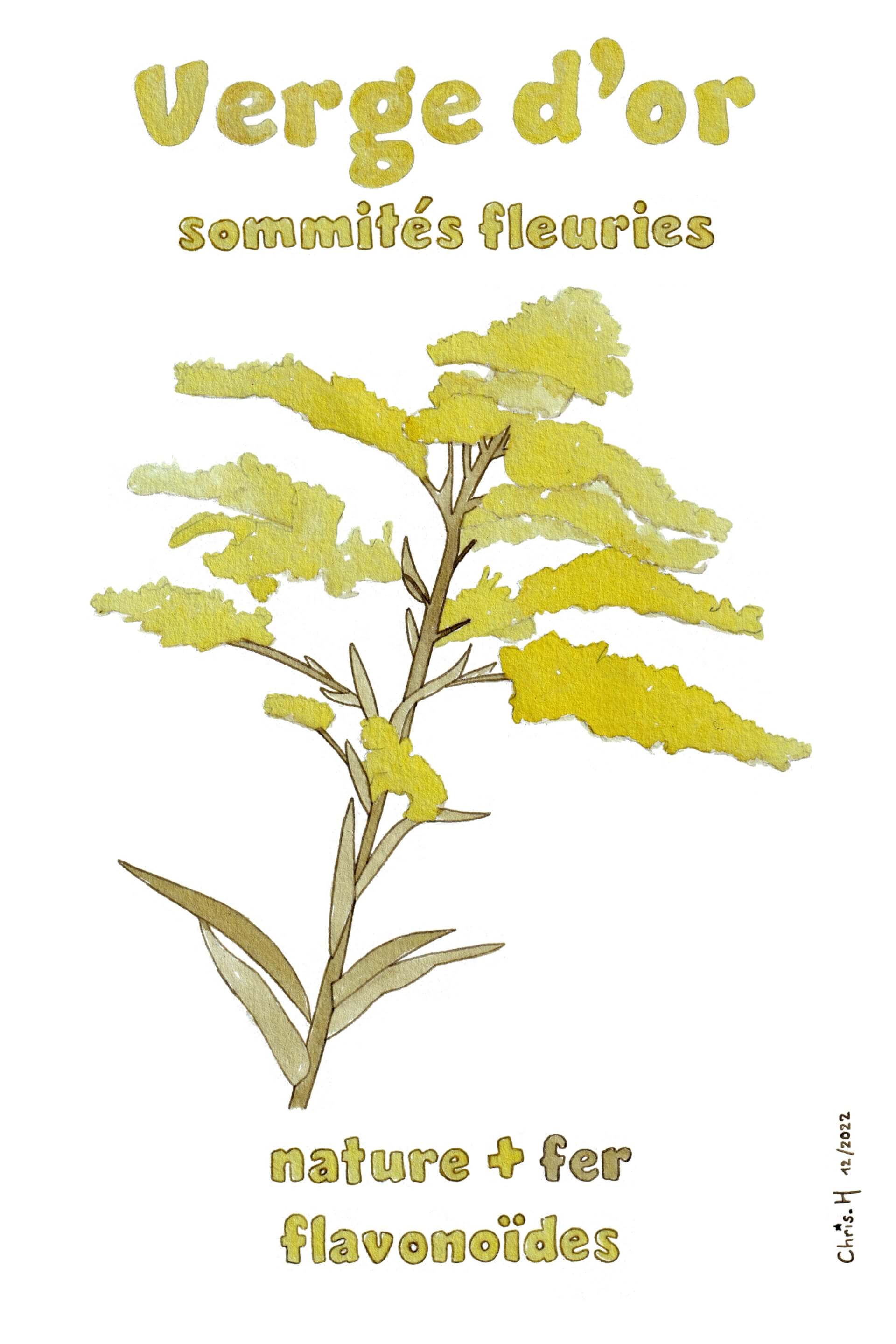 - | christophe-henry