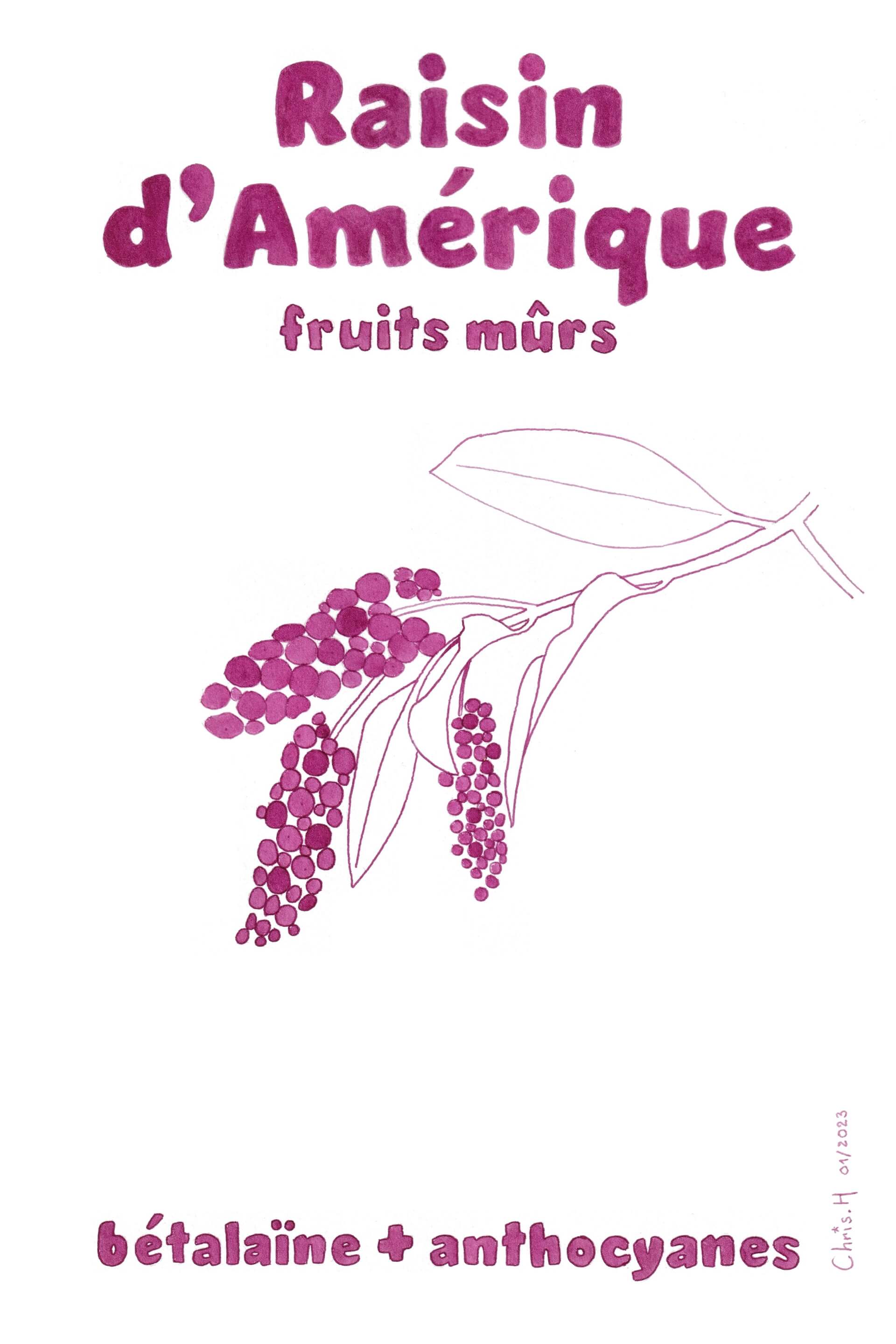 - | christophe-henry