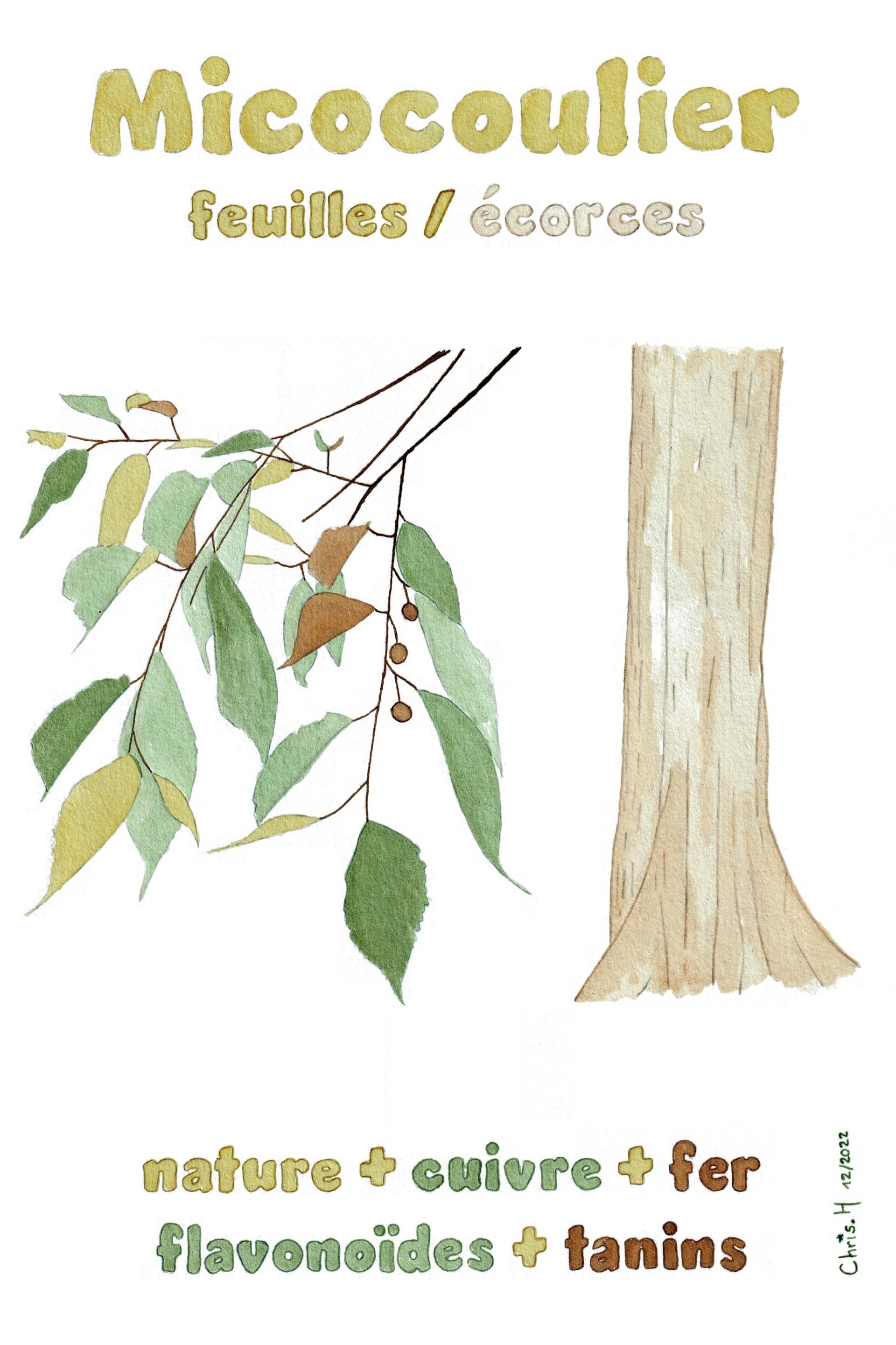 - | christophe-henry