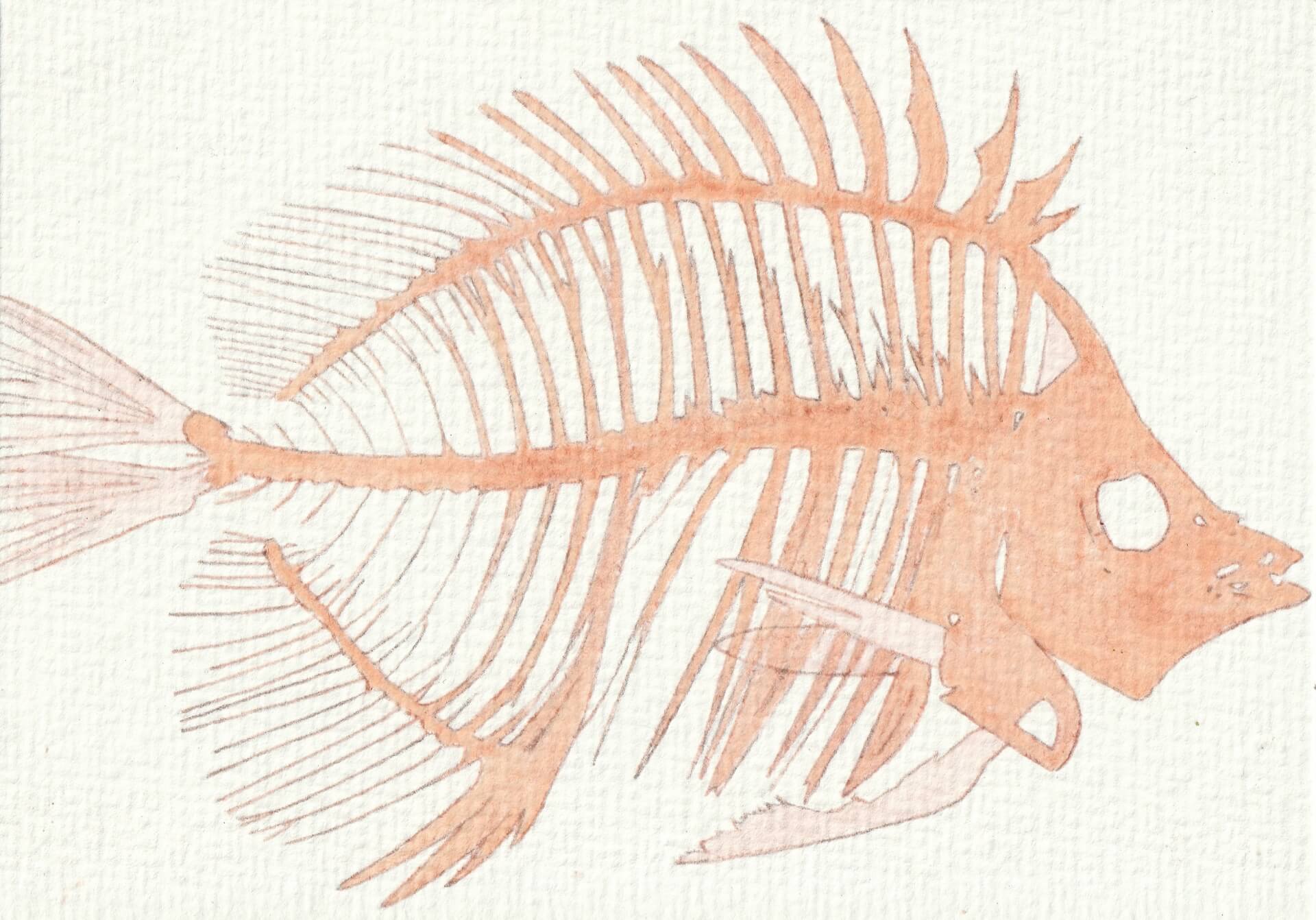 - | christophe-henry