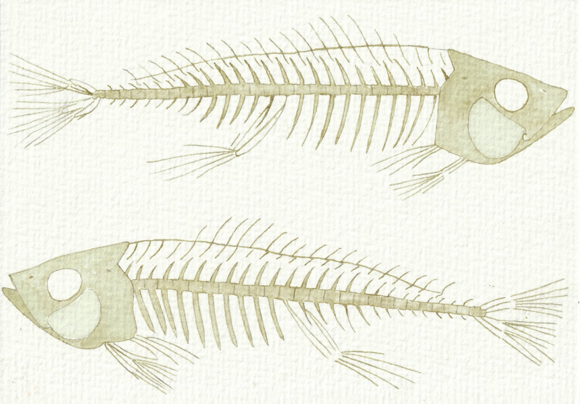 - | christophe-henry