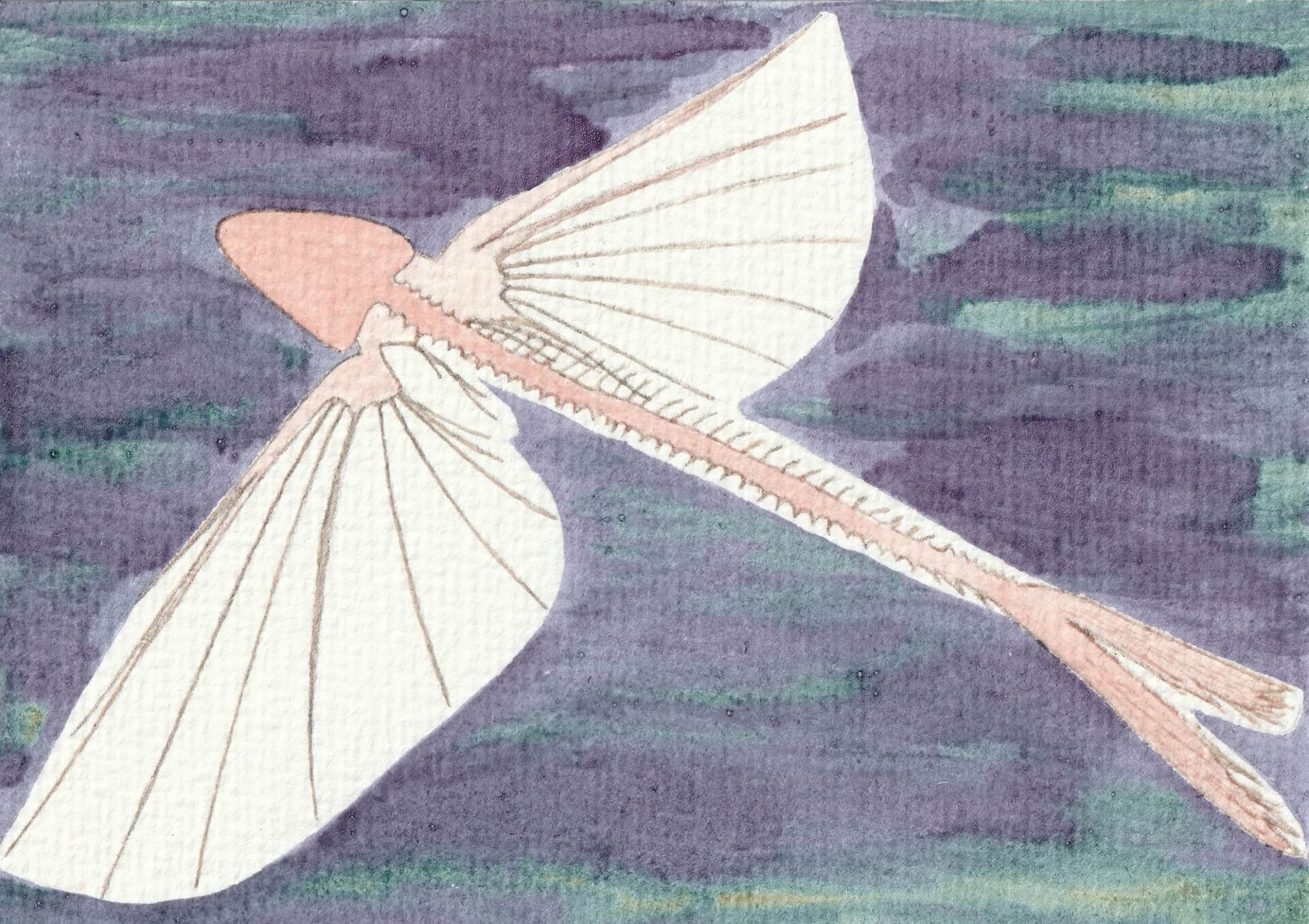 - | christophe-henry