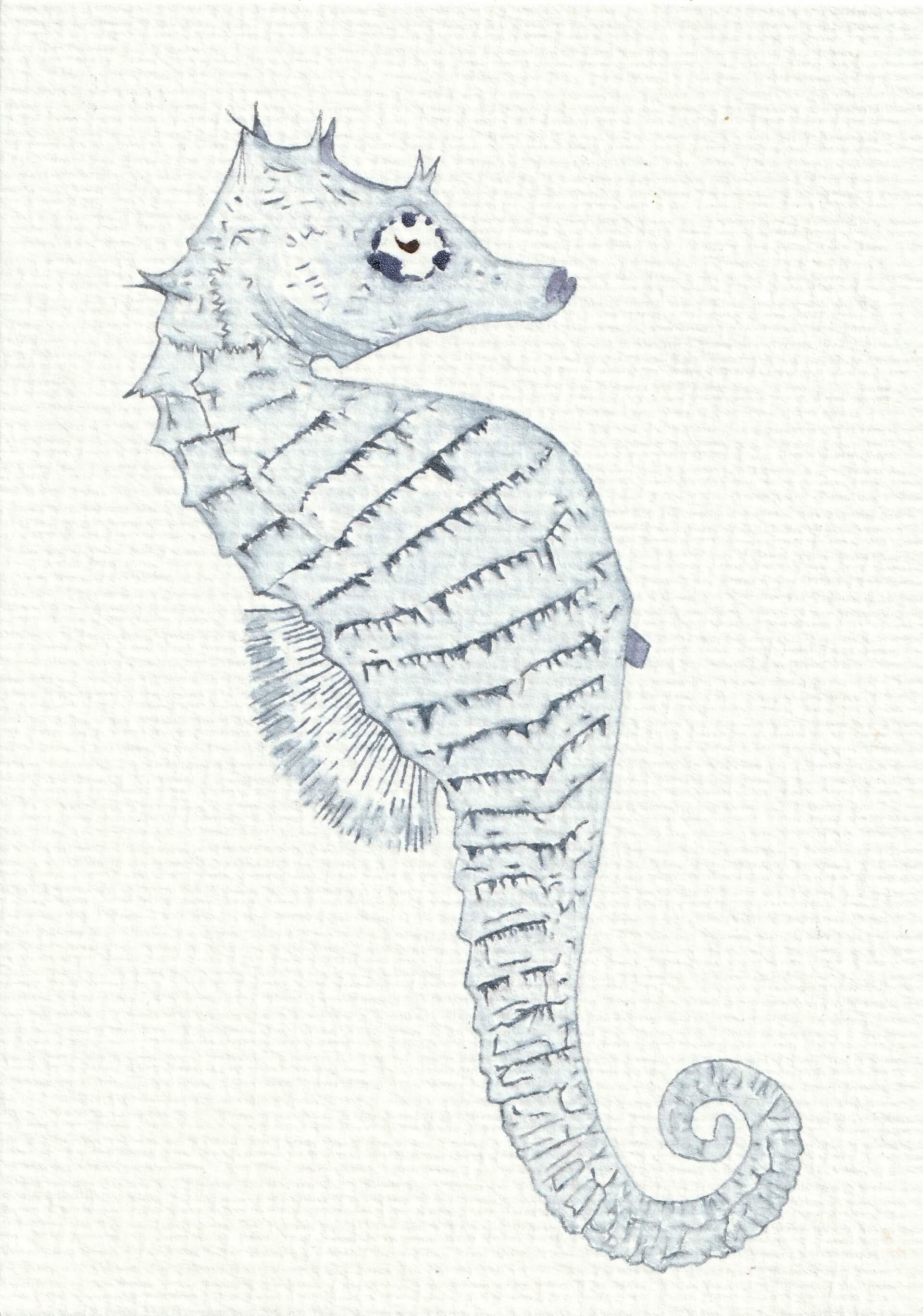 - | christophe-henry