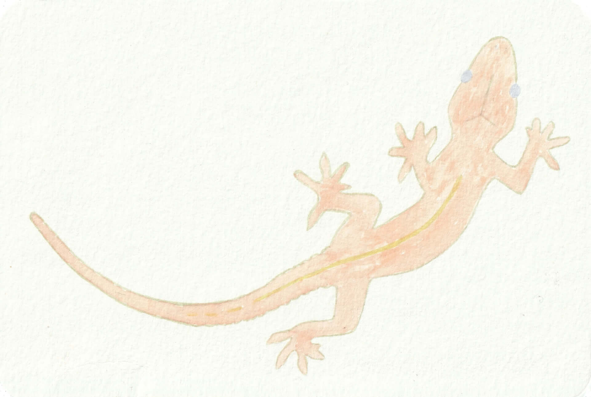 - | christophe-henry