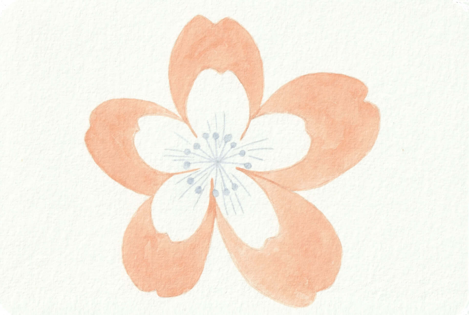 - | christophe-henry