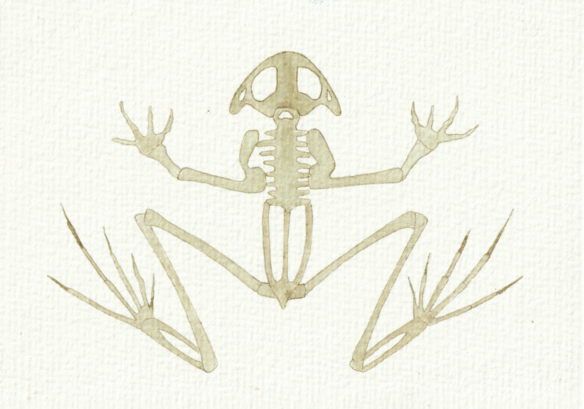 - | christophe-henry