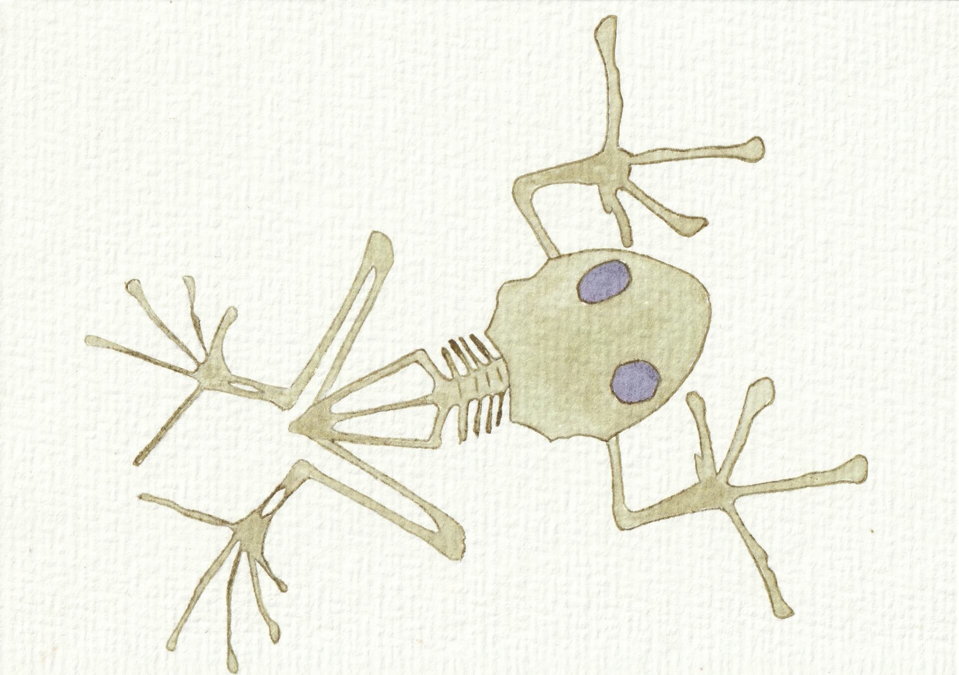 - | christophe-henry