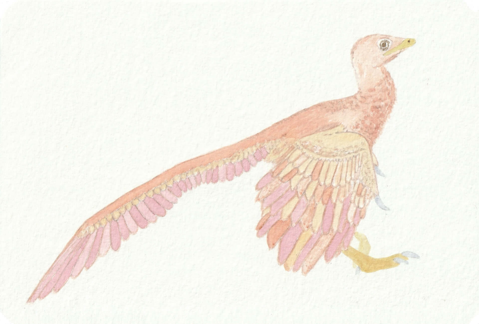 - | christophe-henry