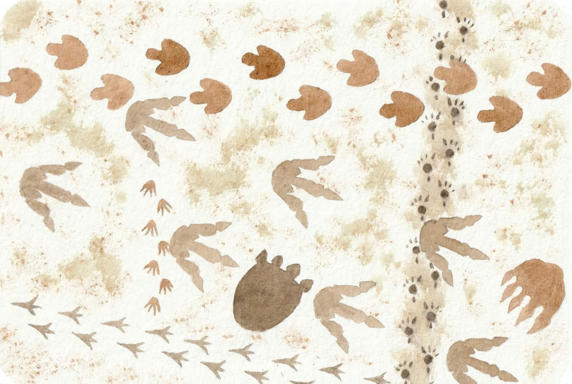 - | christophe-henry