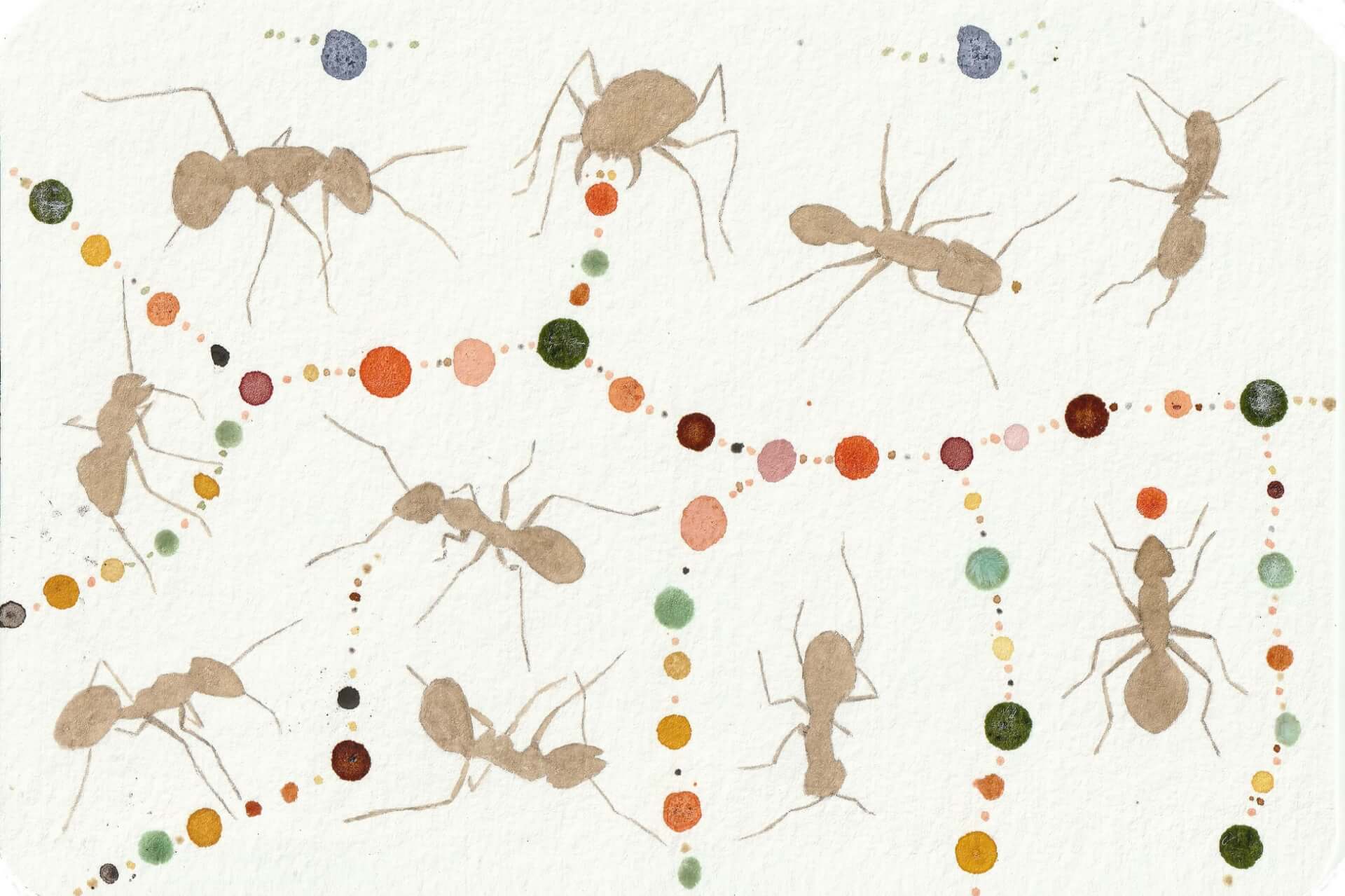 - | christophe-henry