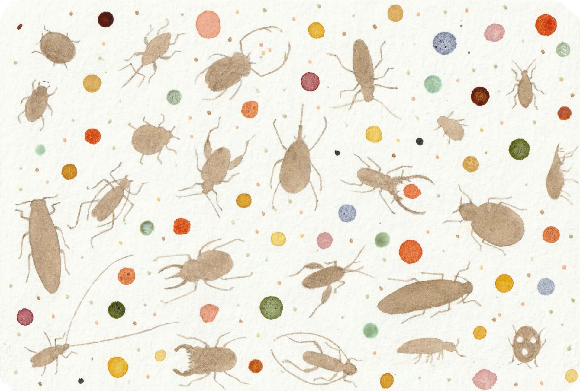 - | christophe-henry