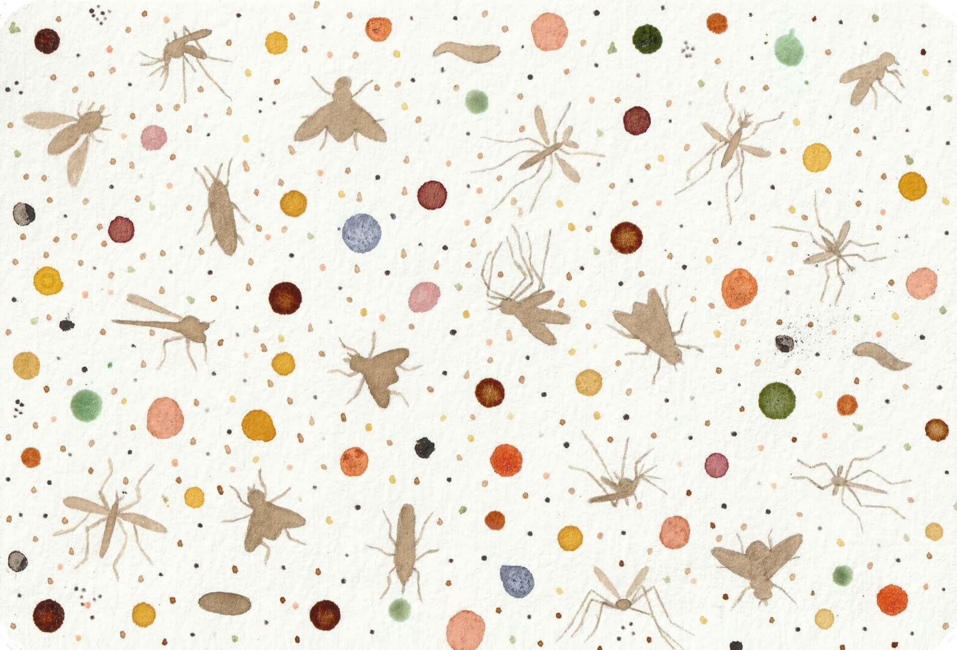 - | christophe-henry