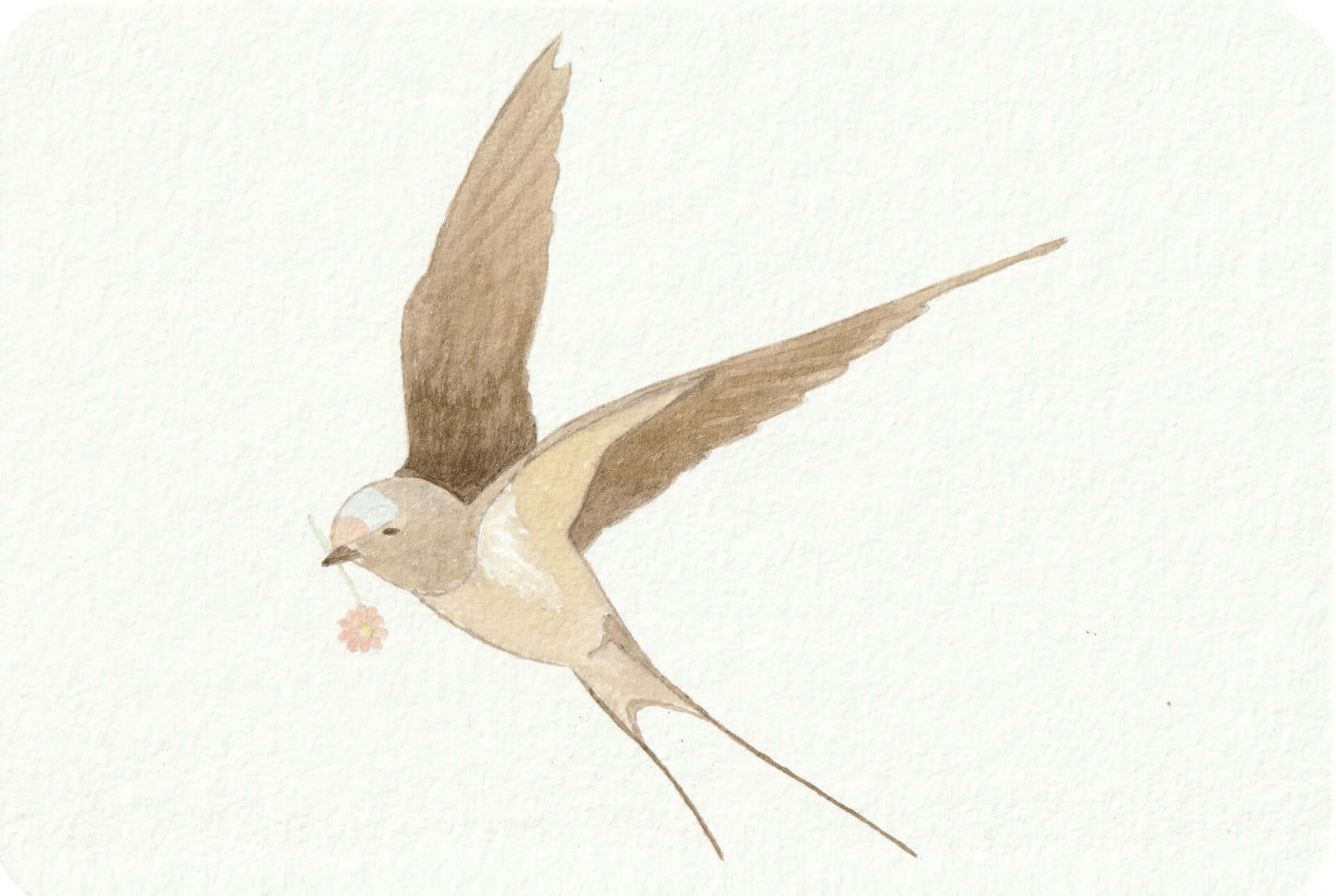 - | christophe-henry