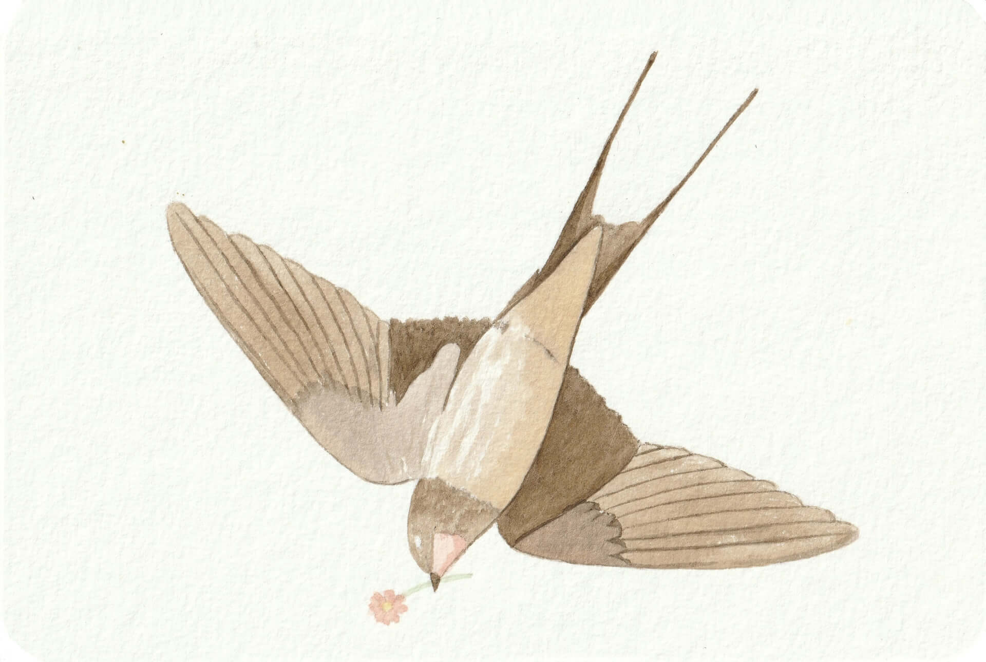 - | christophe-henry