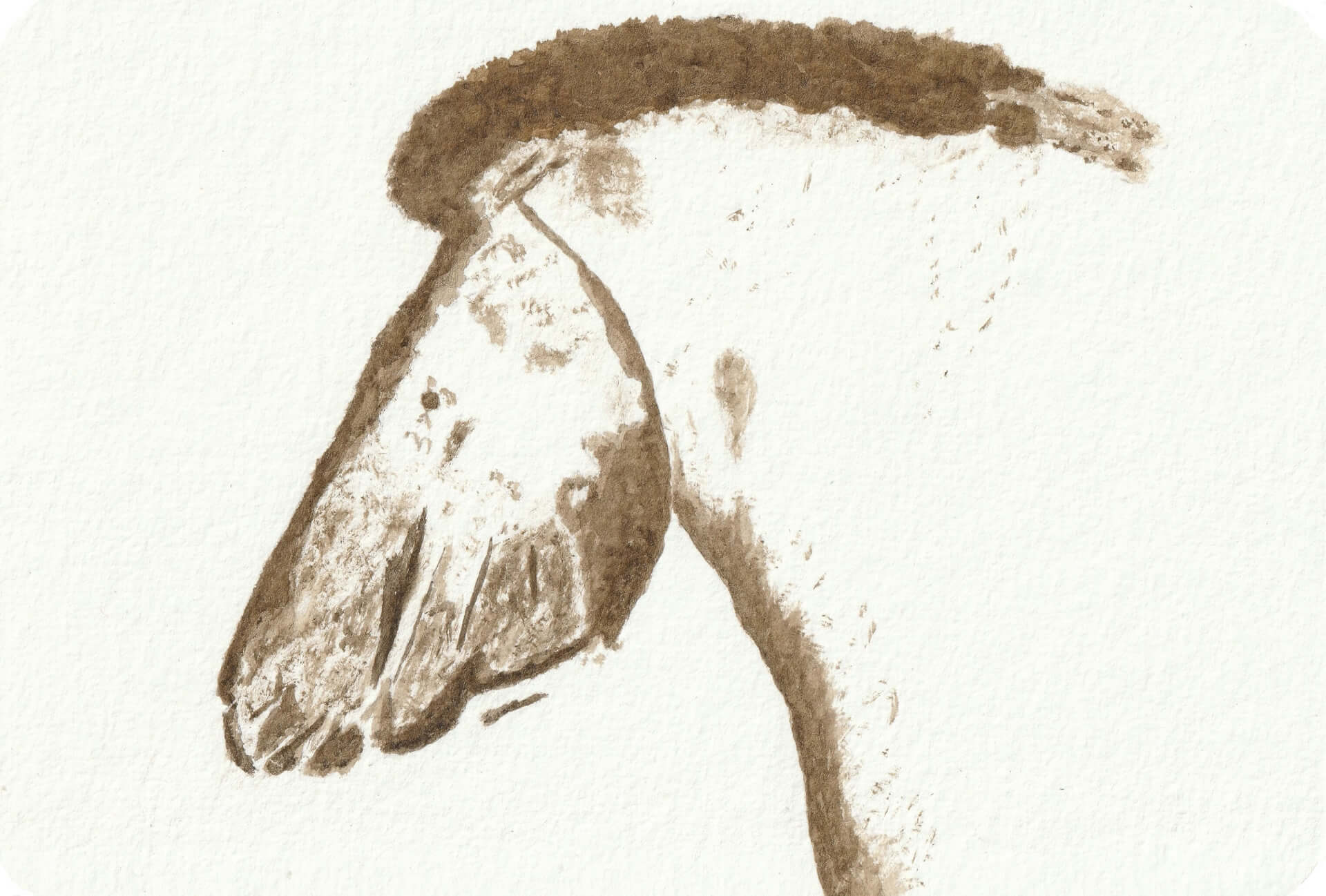 - | christophe-henry