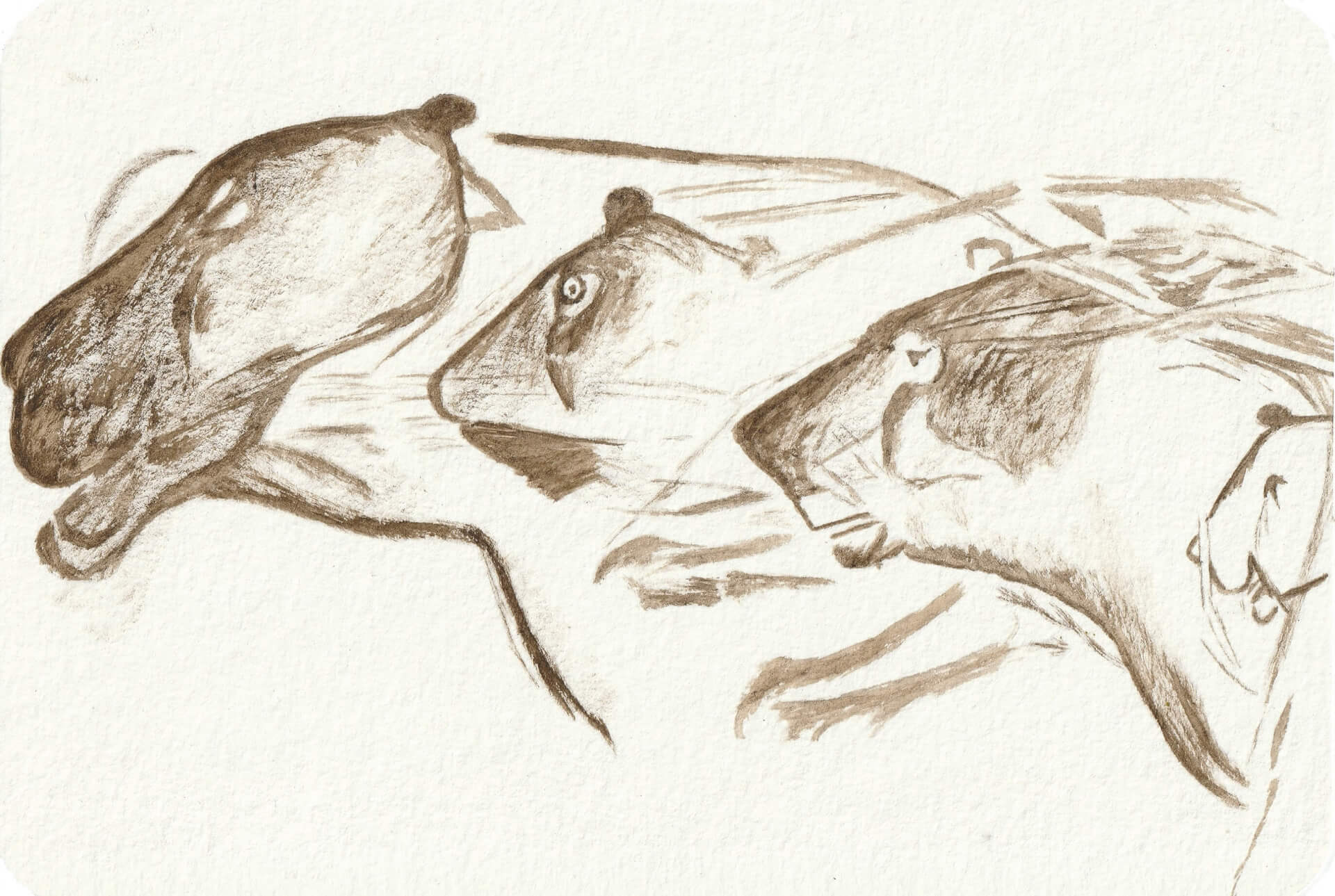 - | christophe-henry