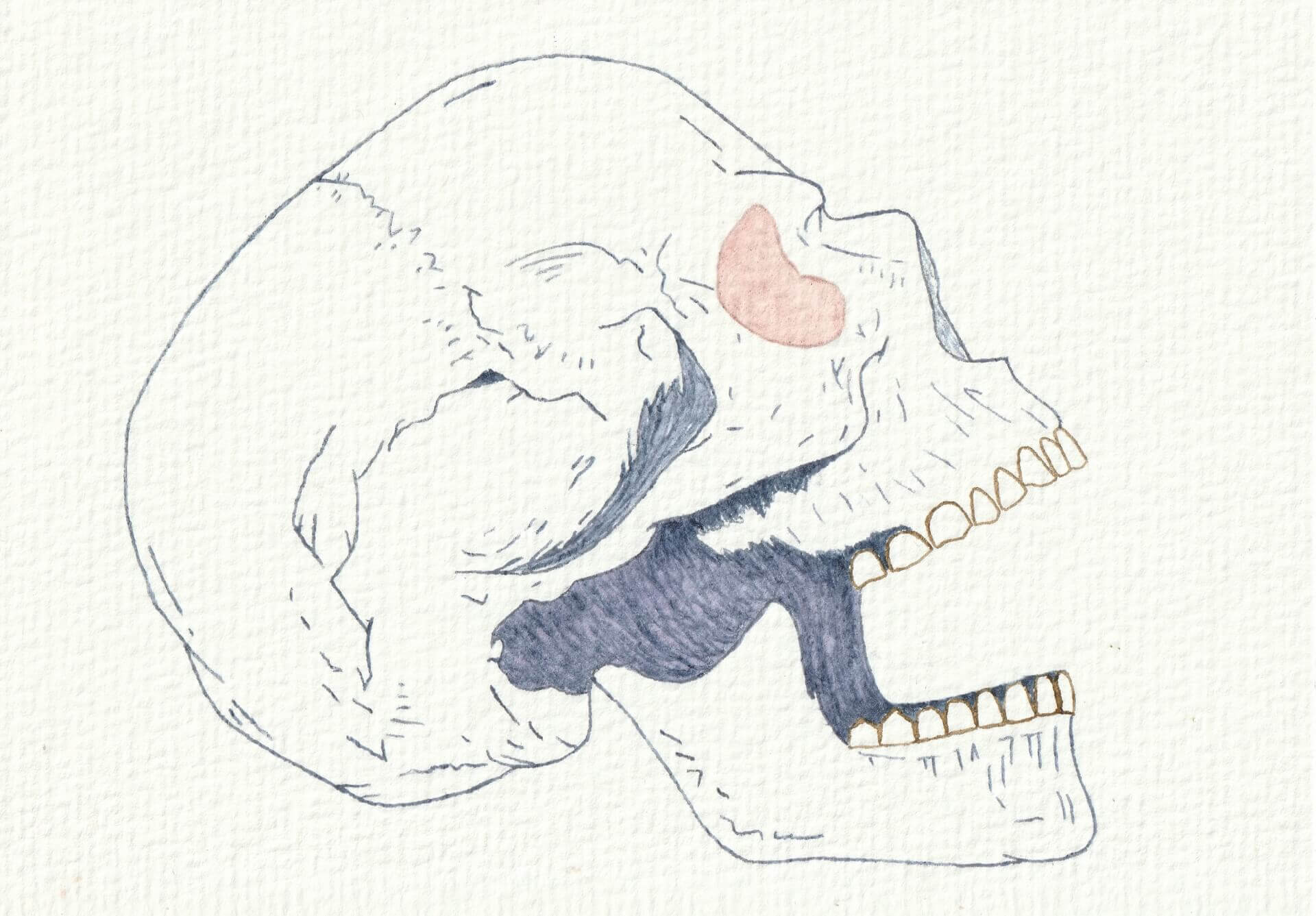 - | christophe-henry