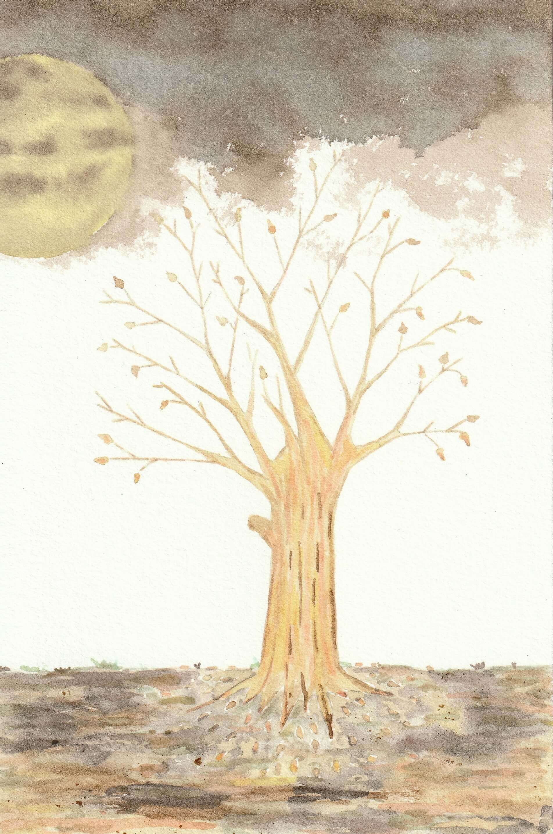 - | christophe-henry