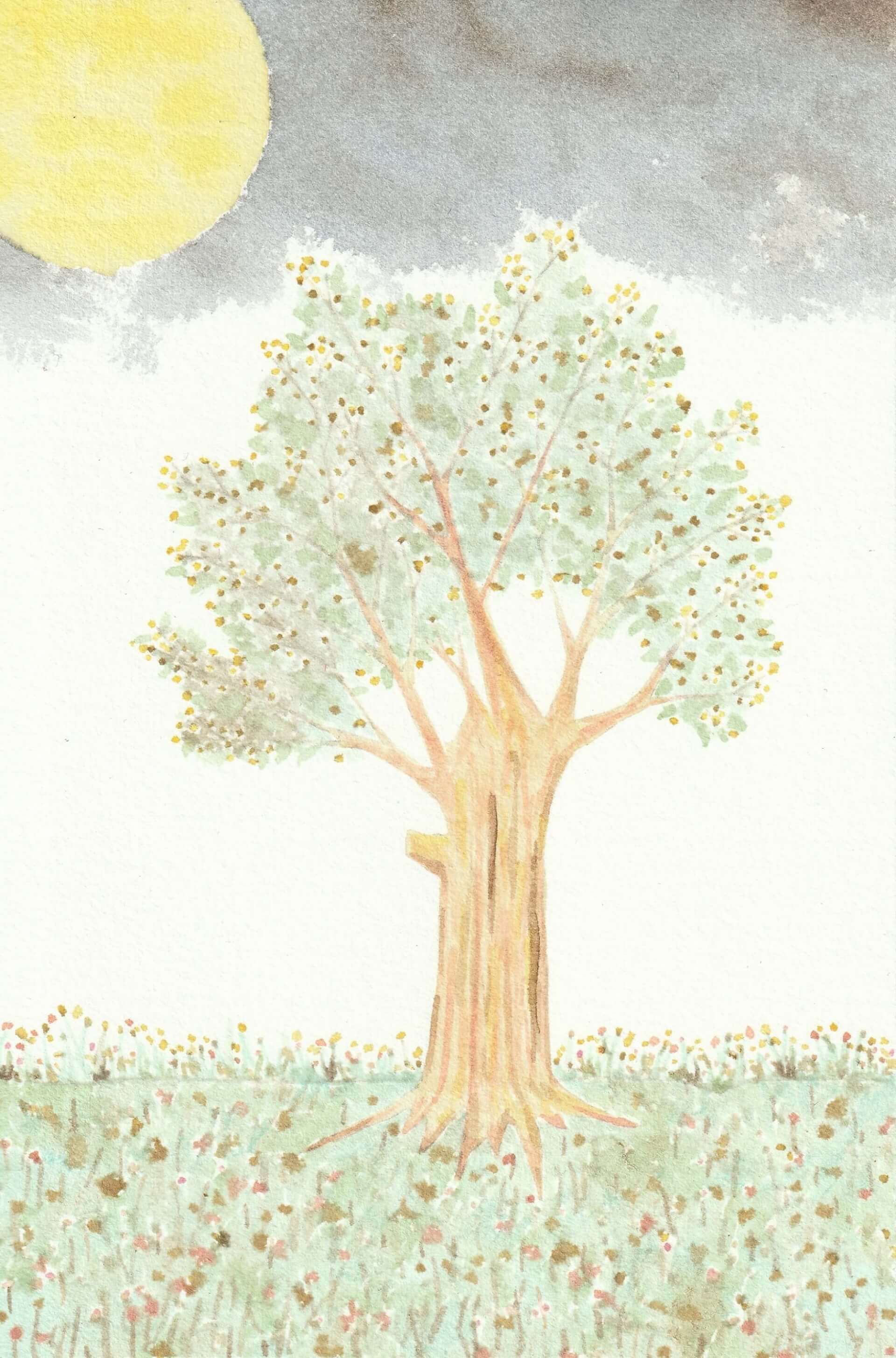 - | christophe-henry