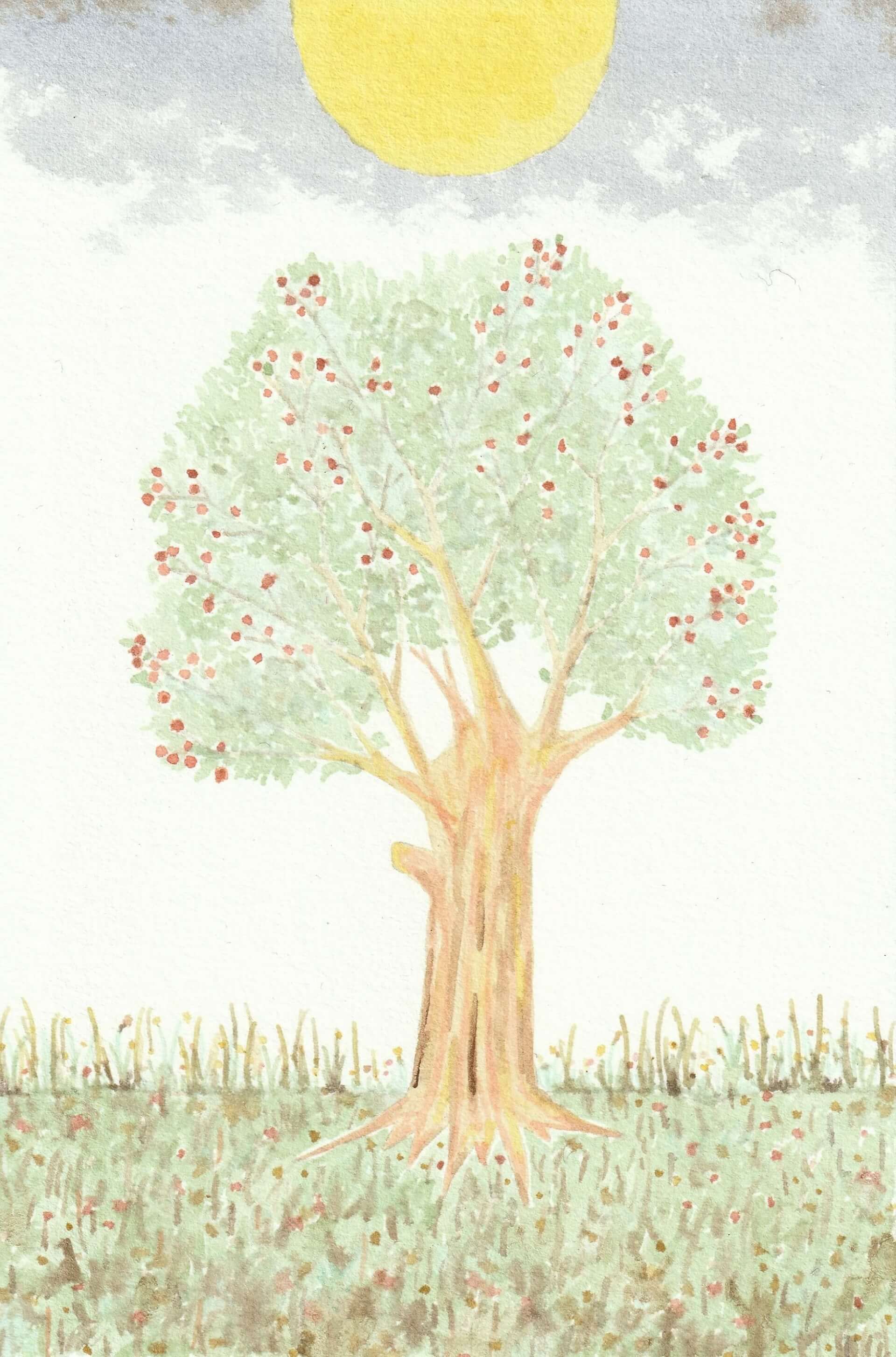 - | christophe-henry