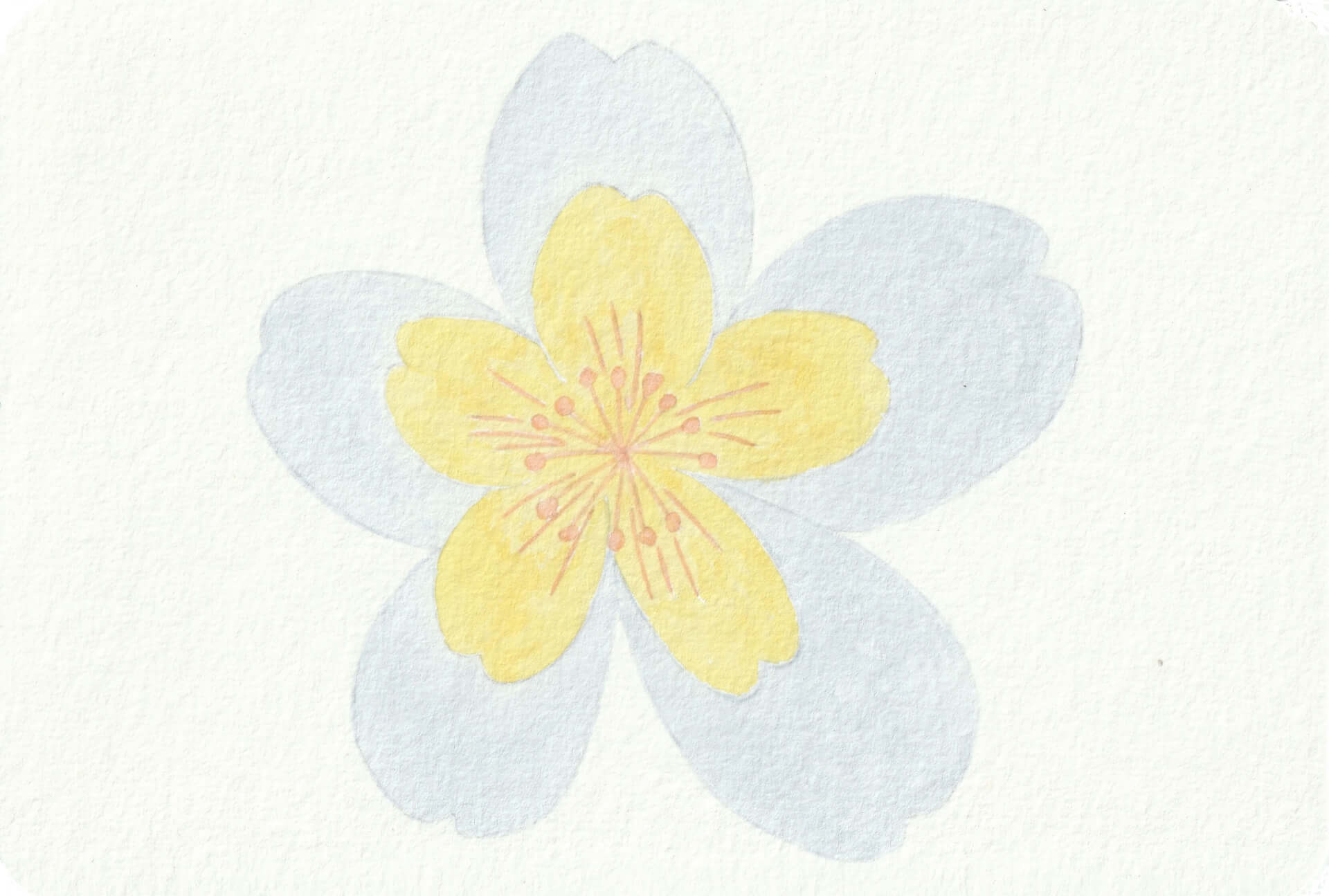 - | christophe-henry