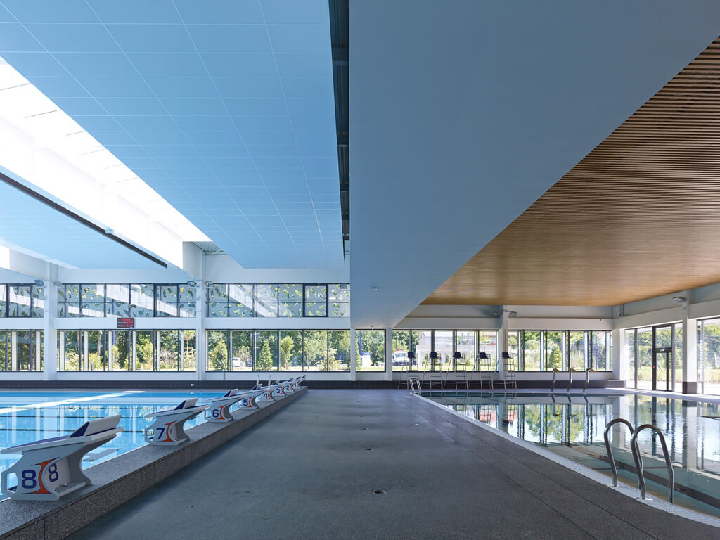 - | BVL Architecture