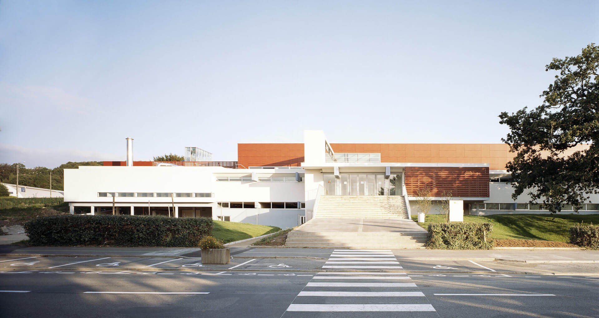 - | BVL Architecture