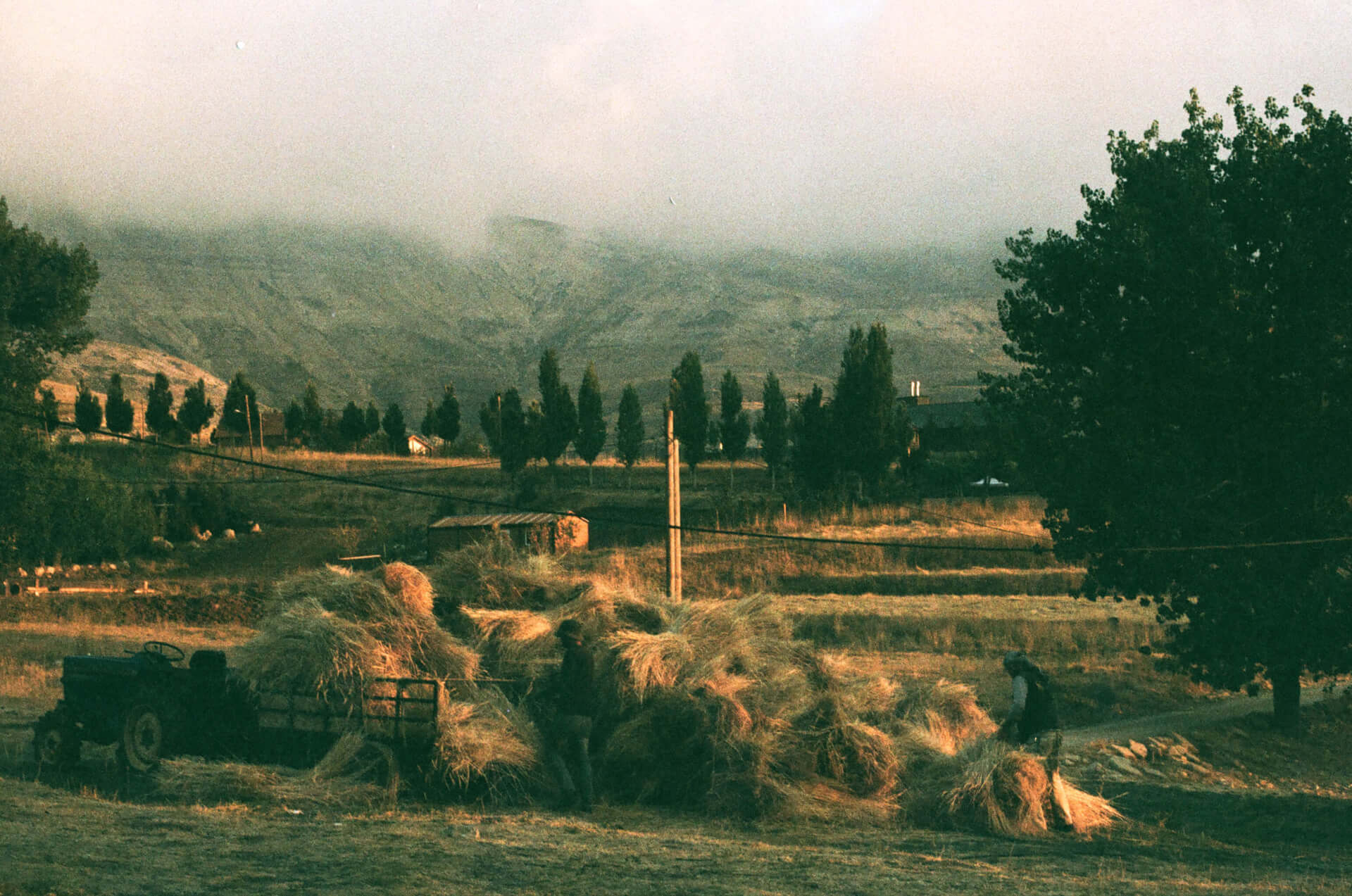 Luana Bassil | Both Nomads