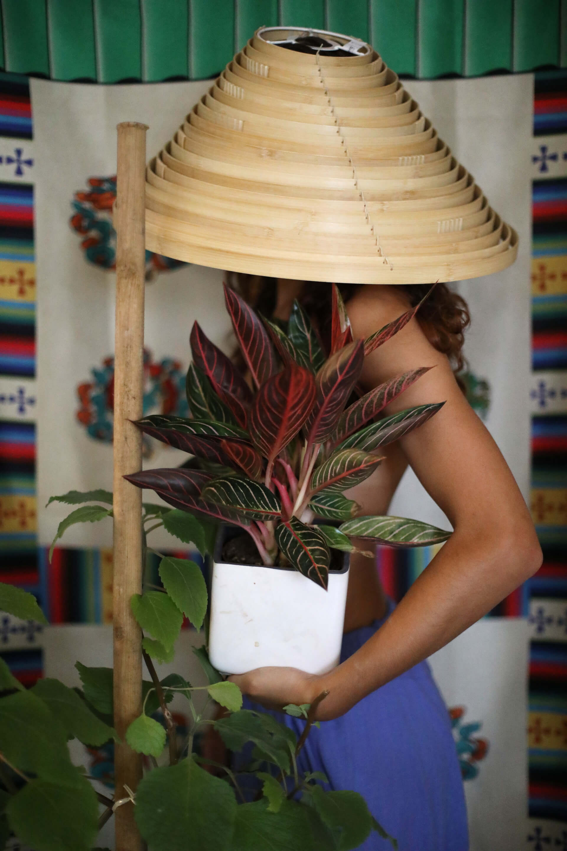 Bibbi Abruzzini | Both Nomads