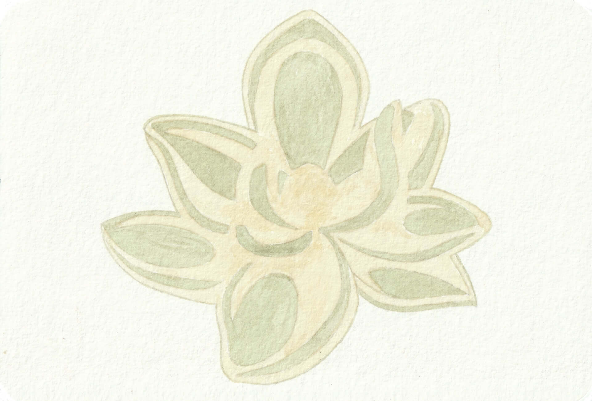 - | christophe-henry