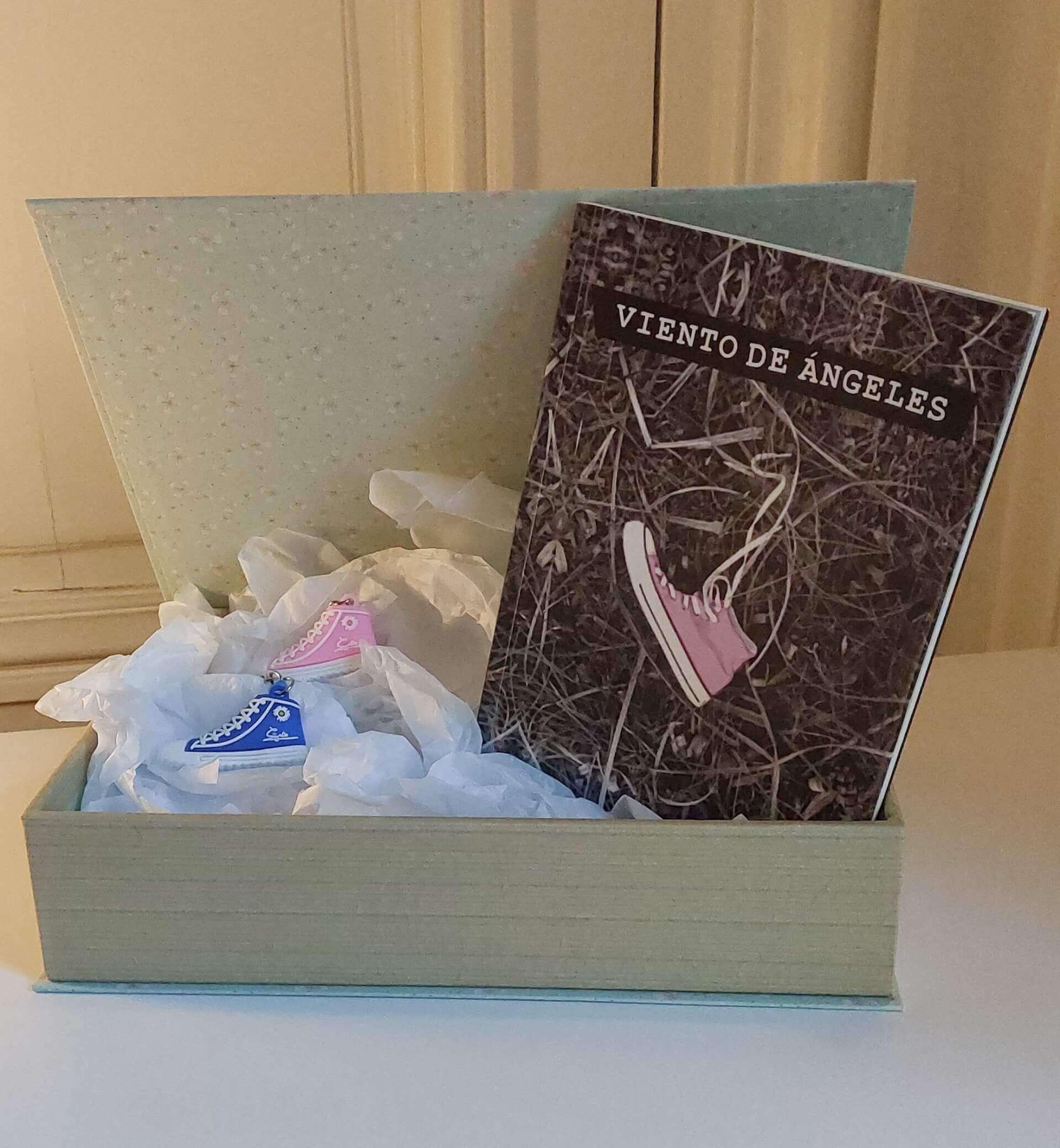 Coffret Viento de Angeles | Aliados literarios