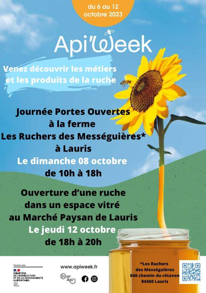 Ouverture d’une ruche dans un véhicule vitré | Au Maquis