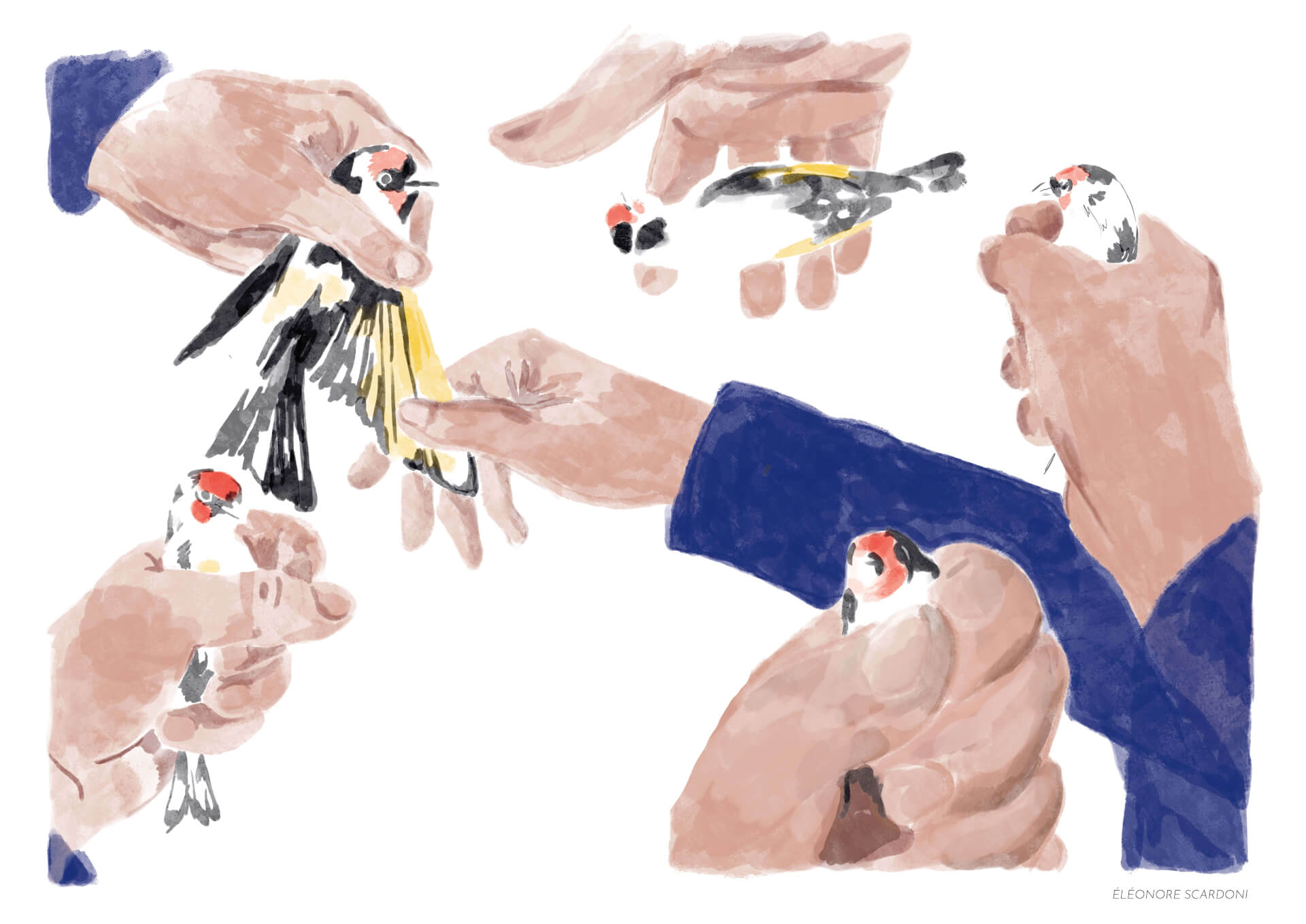 - | Éléonore Scardoni