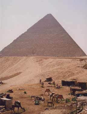 Letter to Europe | Babelmed