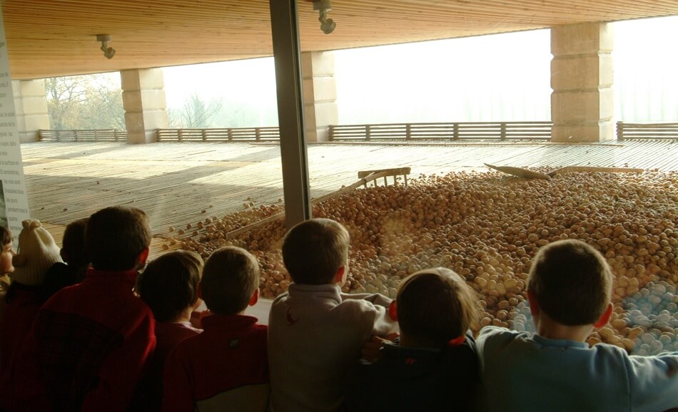 Sortie au Musée du Grand Séchoir | Tohu Bohu