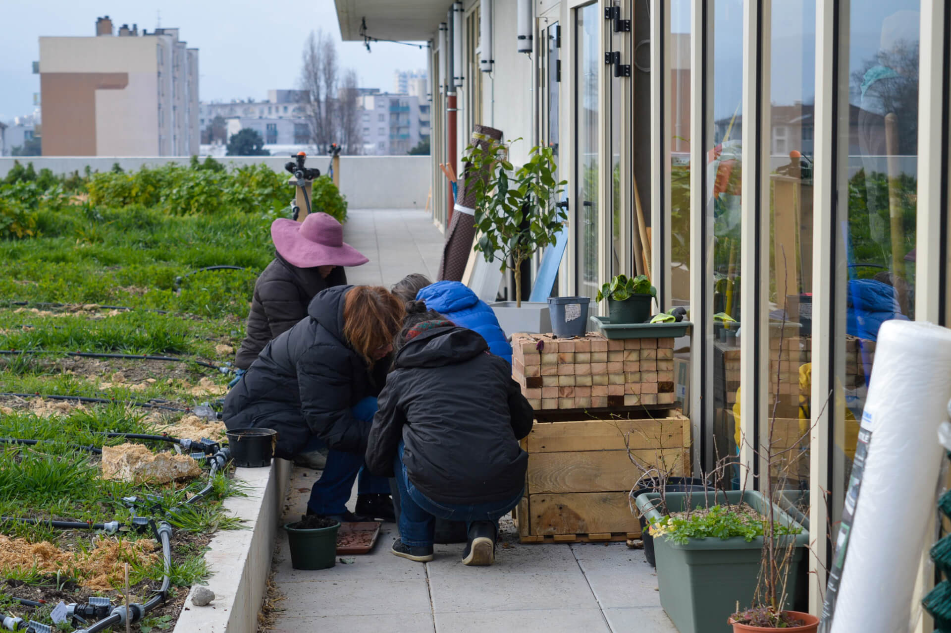 Atelier jardin au Bar Radis | Tohu Bohu