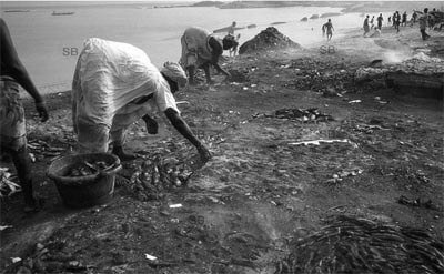 وجوه الغياب | Babelmed