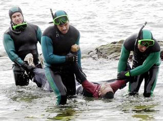 حرقة  الشباب الجزائري نحو  الإلدورادو  المزعوم، لغز حيّر ويكيليكس | Babelmed