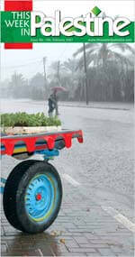 This Week in Palestine | Babelmed