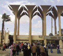 مشغولون عن الكتاب بالمعرض | Babelmed