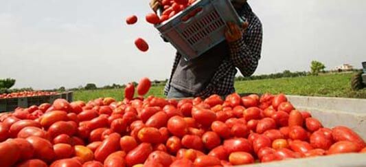 Il reato di clandestinità | Babelmed