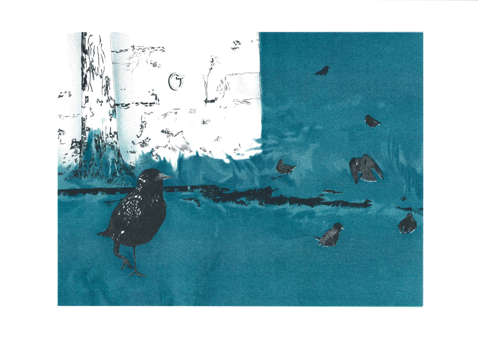 - | Éléonore Scardoni