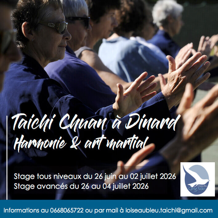 Stage d'été à Dinard | L'Oiseau Bleu/QingNiao